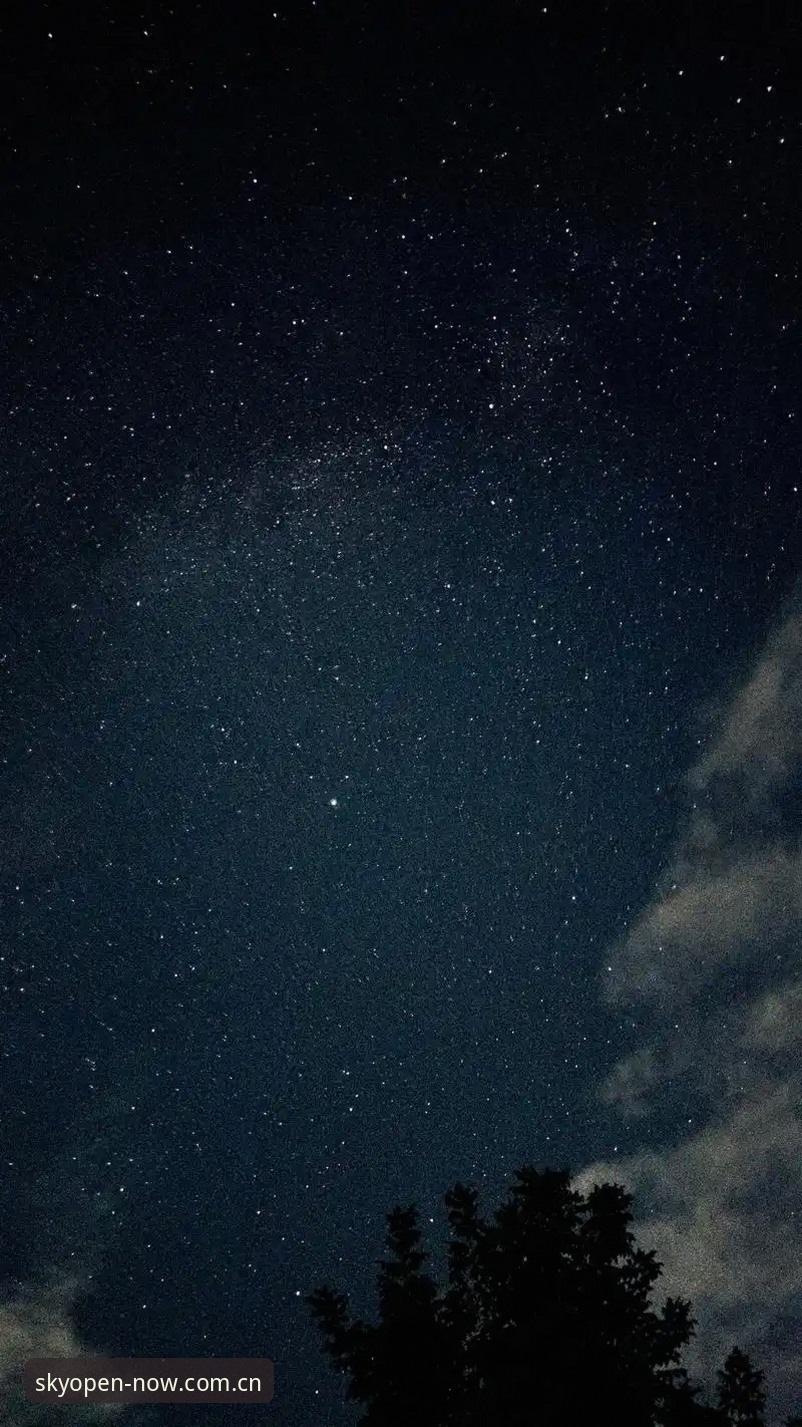 星空体育平台4.0.1全面解析：从「随手就打开」到「随手能用」的进化逻辑